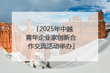 2025年中越青年企业家创新合作交流活动举办