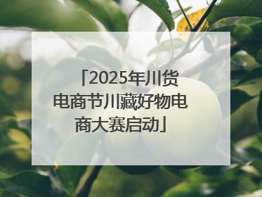 2025年川货电商节川藏好物电商大赛启动
