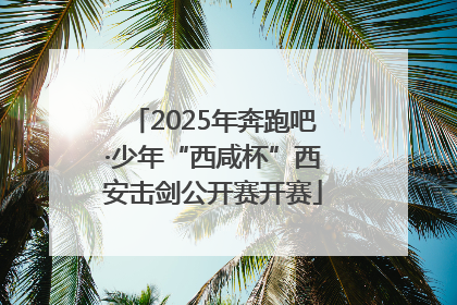 2025年奔跑吧·少年“西咸杯”西安击剑公开赛开赛