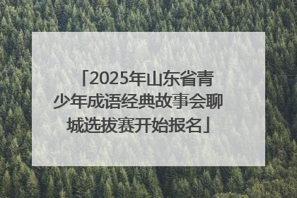 2025年山东省青少年成语经典故事会聊城选拔赛开始报名