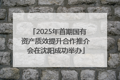 2025年首期国有资产质效提升合作推介会在沈阳成功举办