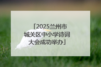 2025兰州市城关区中小学诗词大会成功举办