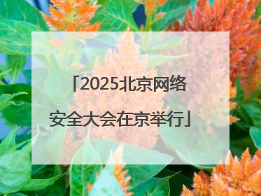 2025北京网络安全大会在京举行