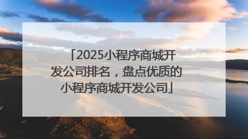 2025小程序商城开发公司排名，盘点优质的小程序商城开发公司