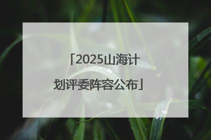 2025山海计划评委阵容公布