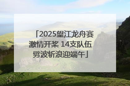 2025望江龙舟赛激情开桨 14支队伍劈波斩浪迎端午