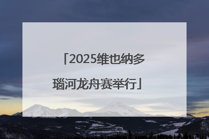 2025维也纳多瑙河龙舟赛举行