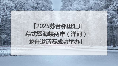 2025苏台邻里汇开幕式暨海峡两岸（洋河）龙舟邀请赛成功举办