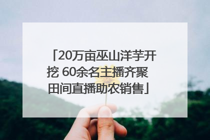 20万亩巫山洋芋开挖 60余名主播齐聚田间直播助农销售