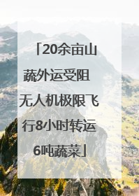 20余亩山蔬外运受阻 无人机极限飞行8小时转运6吨蔬菜