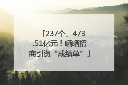 237个、473.51亿元！晒晒招商引资“成绩单”
