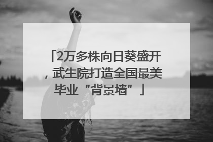 2万多株向日葵盛开，武生院打造全国最美毕业“背景墙”