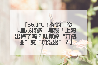 36.1℃！你的工资卡里或将多一笔钱！上海出梅了吗？陆家嘴“开瓶器”变“加湿器”？