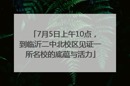 7月5日上午10点，到临沂二中北校区见证一所名校的底蕴与活力