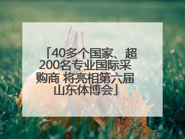 40多个国家、超200名专业国际采购商 将亮相第六届山东体博会