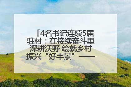 4名书记连续5届驻村：在接续奋斗里深耕沃野 绘就乡村振兴“好丰景”——浦发银行南京分行助力脱贫攻坚、帮促乡村振兴记事（二）