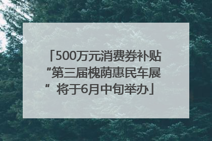 500万元消费券补贴 “第三届槐荫惠民车展”将于6月中旬举办