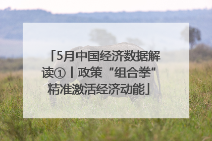 5月中国经济数据解读①丨政策“组合拳”精准激活经济动能