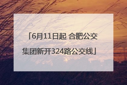 6月11日起 合肥公交集团新开324路公交线