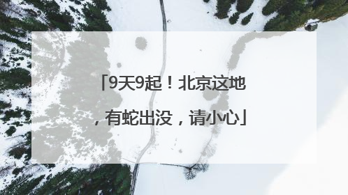 9天9起！北京这地，有蛇出没，请小心
