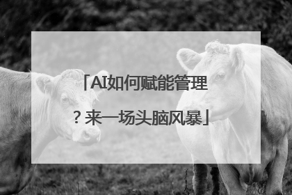 AI如何赋能管理？来一场头脑风暴