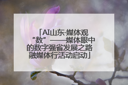 AI山东·媒体观“数”——媒体眼中的数字强省发展之路融媒体行活动启动