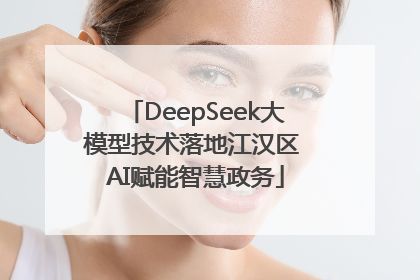 DeepSeek大模型技术落地江汉区 AI赋能智慧政务