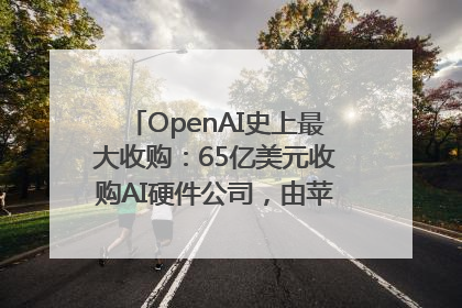OpenAI史上最大收购：65亿美元收购AI硬件公司，由苹果前设计总监创办