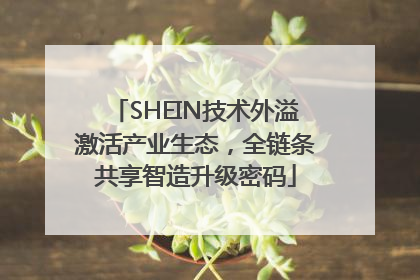 SHEIN技术外溢激活产业生态，全链条共享智造升级密码
